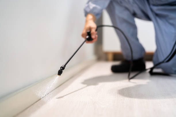 Licensed Termite Control service in Jerseyville, IL - Nex Pest Control