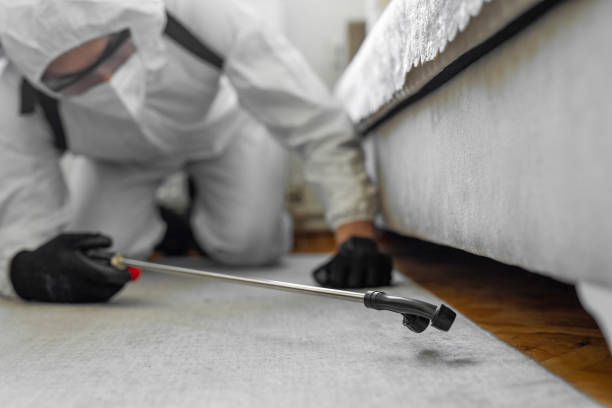 Professional Termite Control technician working in Jerseyville, IL