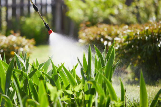 24/7 Emergency Termite Control experts in Jerseyville, IL