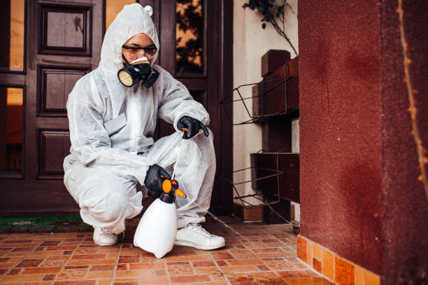 Reliable Termite Control contractor in Jerseyville, IL by Nex Pest Control