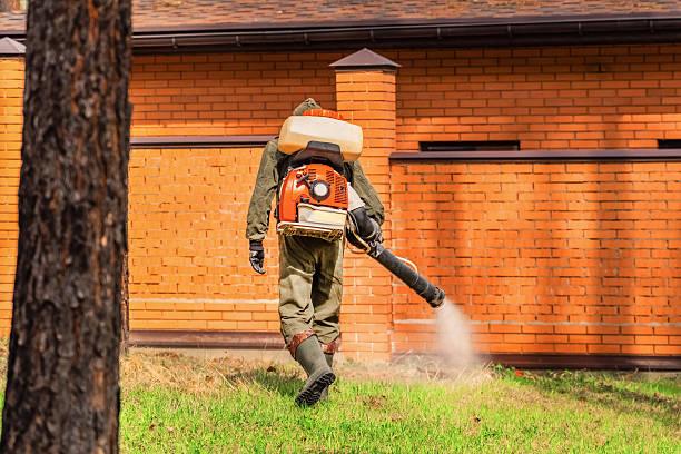 Top rated local Termite Control specialists in Jerseyville, IL